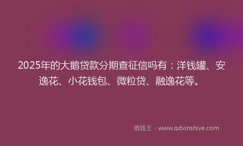 2025年的大鹅贷款分期查征信吗有：洋钱罐、安逸花、小花钱包、微粒贷、融逸花等。