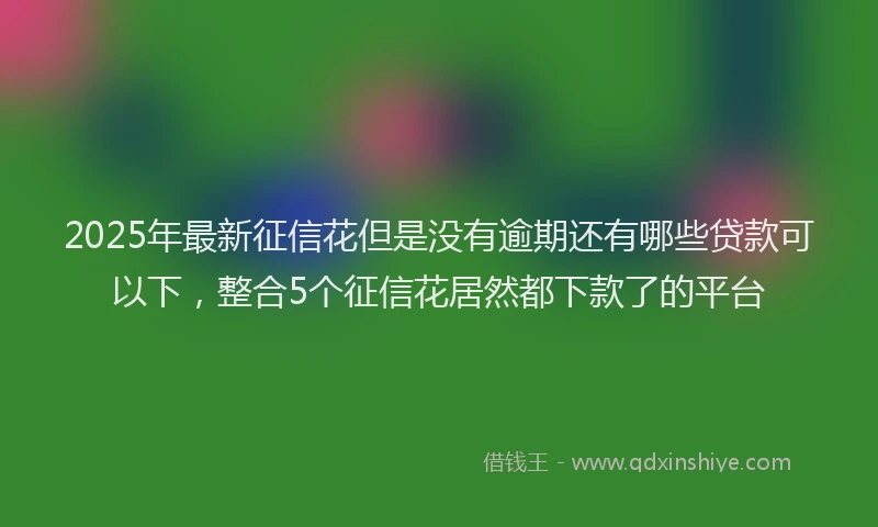 2025年最新征信花但是没有逾期还有哪些贷款可以下，整合5个征信花居然都下款了的平台