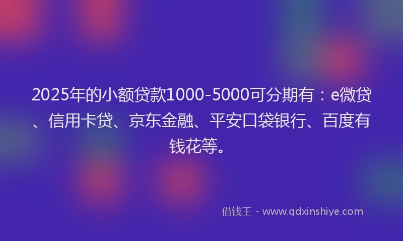 2025年的小额贷款1000-5000可分期有：e微贷、信用卡贷、京东金融、平安口袋银行、百度有钱花等。