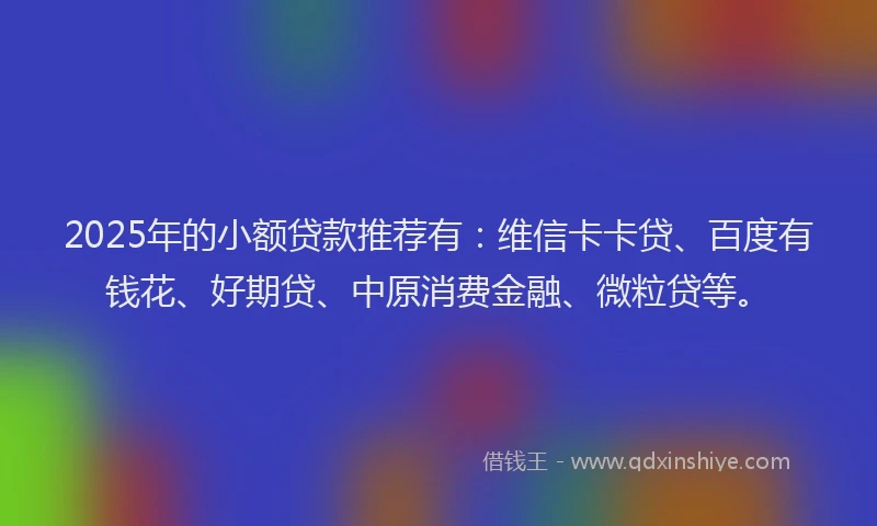 2025年的小额贷款推荐有：维信卡卡贷、百度有钱花、好期贷、中原消费金融、微粒贷等。