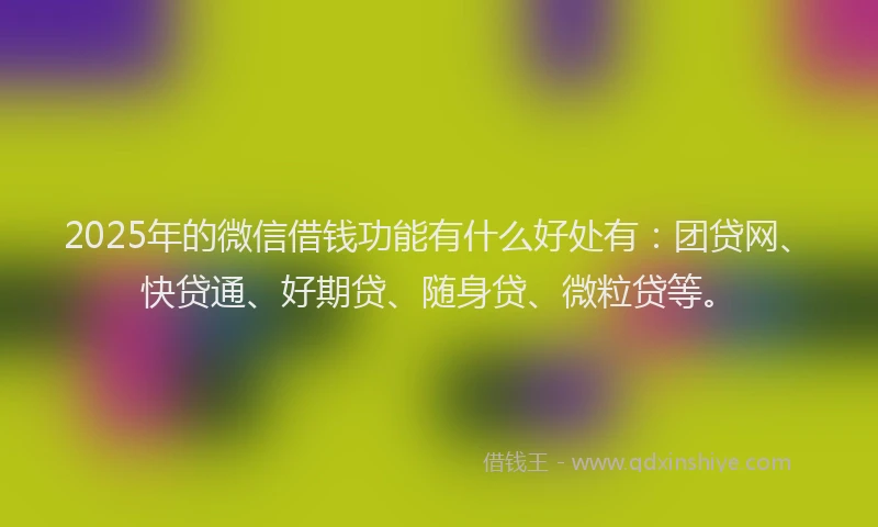 2025年的微信借钱功能有什么好处有：团贷网、快贷通、好期贷、随身贷、微粒贷等。