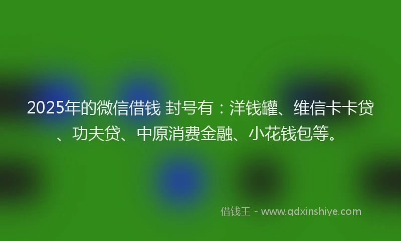 2025年的微信借钱 封号有：洋钱罐、维信卡卡贷、功夫贷、中原消费金融、小花钱包等。