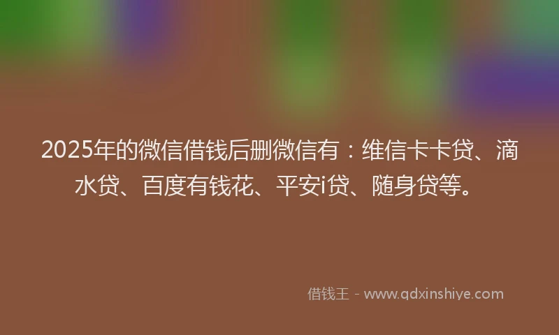 2025年的微信借钱后删微信有：维信卡卡贷、滴水贷、百度有钱花、平安i贷、随身贷等。