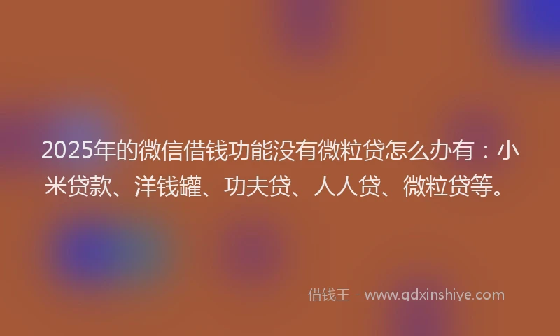 2025年的微信借钱功能没有微粒贷怎么办有：小米贷款、洋钱罐、功夫贷、人人贷、微粒贷等。