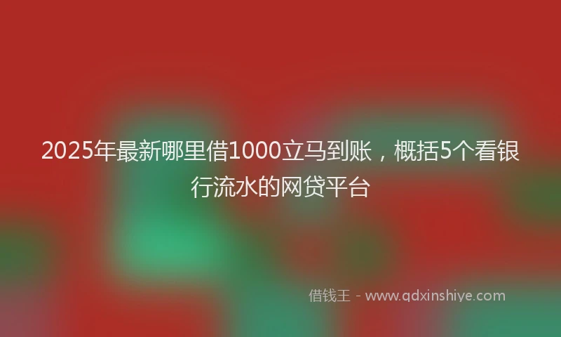 2025年最新哪里借1000立马到账，概括5个看银行流水的网贷平台