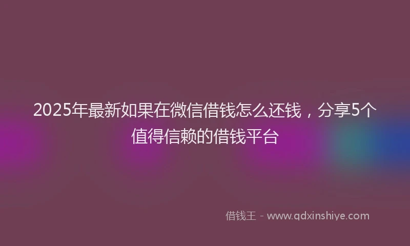 2025年最新如果在微信借钱怎么还钱，分享5个值得信赖的借钱平台