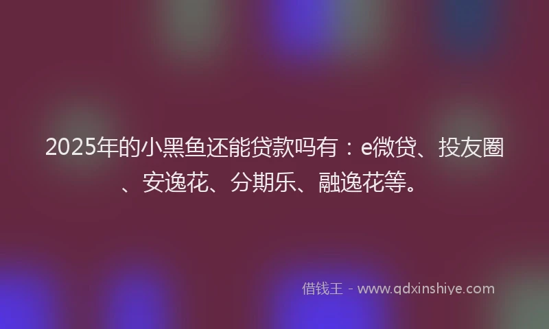 2025年的小黑鱼还能贷款吗有：e微贷、投友圈、安逸花、分期乐、融逸花等。
