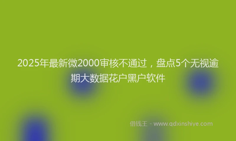 2025年最新微2000审核不通过，盘点5个无视逾期大数据花户黑户软件