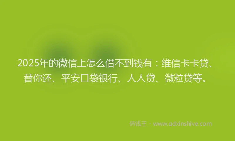 2025年的微信上怎么借不到钱有：维信卡卡贷、替你还、平安口袋银行、人人贷、微粒贷等。