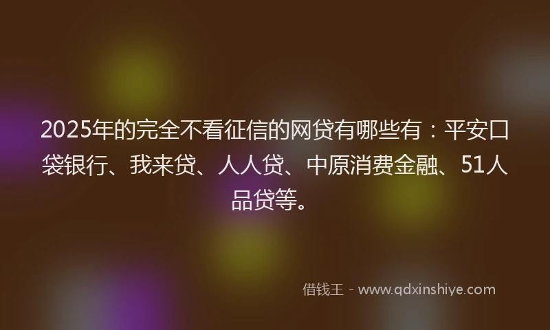 2025年的完全不看征信的网贷有哪些有：平安口袋银行、我来贷、人人贷、中原消费金融、51人品贷等。