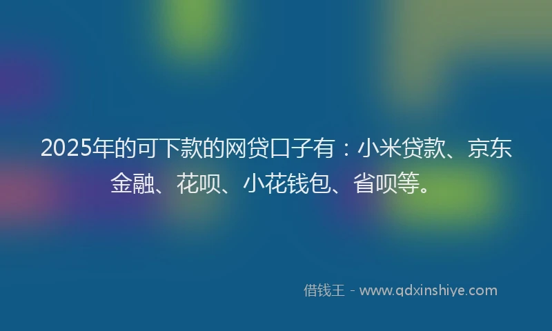 2025年的可下款的网贷口子有：小米贷款、京东金融、花呗、小花钱包、省呗等。