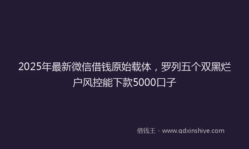 2025年最新微信借钱原始载体，罗列五个双黑烂户风控能下款5000口子