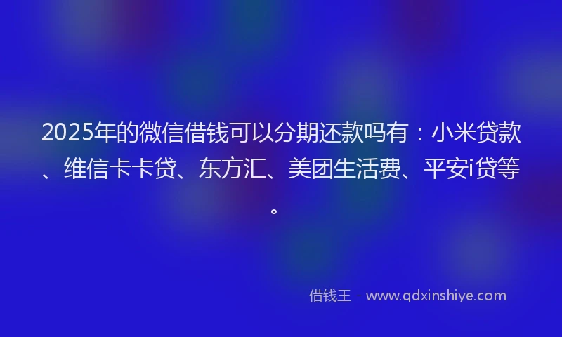 2025年的微信借钱可以分期还款吗有：小米贷款、维信卡卡贷、东方汇、美团生活费、平安i贷等。