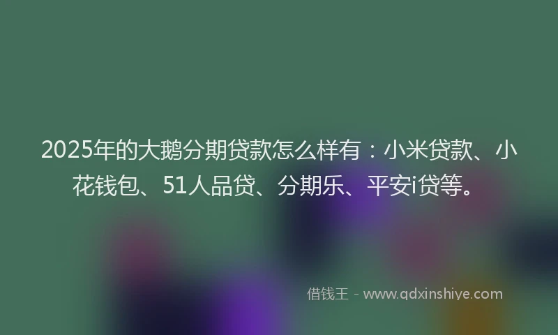 2025年的大鹅分期贷款怎么样有：小米贷款、小花钱包、51人品贷、分期乐、平安i贷等。