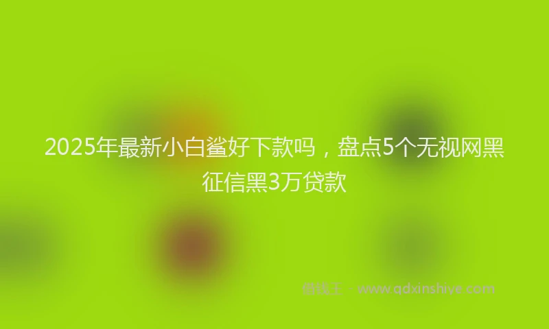2025年最新小白鲨好下款吗，盘点5个无视网黑征信黑3万贷款