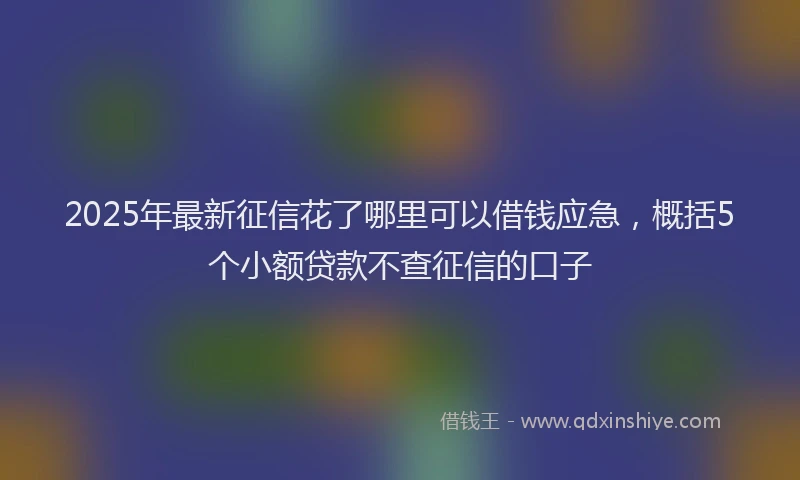 2025年最新征信花了哪里可以借钱应急，概括5个小额贷款不查征信的口子