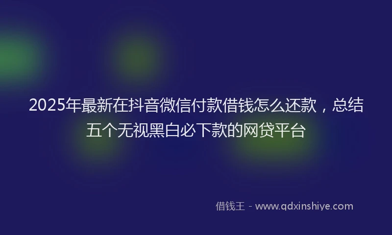 2025年最新在抖音微信付款借钱怎么还款，总结五个无视黑白必下款的网贷平台