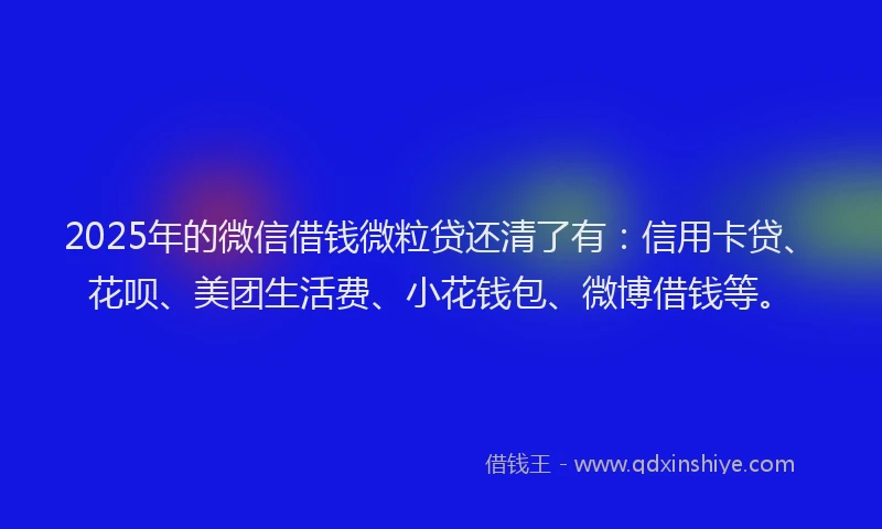 2025年的微信借钱微粒贷还清了有：信用卡贷、花呗、美团生活费、小花钱包、微博借钱等。