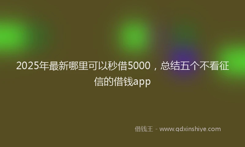 2025年最新哪里可以秒借5000，总结五个不看征信的借钱app