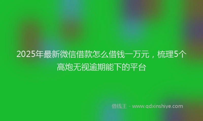 2025年最新微信借款怎么借钱一万元，梳理5个高炮无视逾期能下的平台