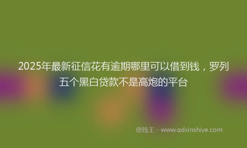 2025年最新征信花有逾期哪里可以借到钱，罗列五个黑白贷款不是高炮的平台
