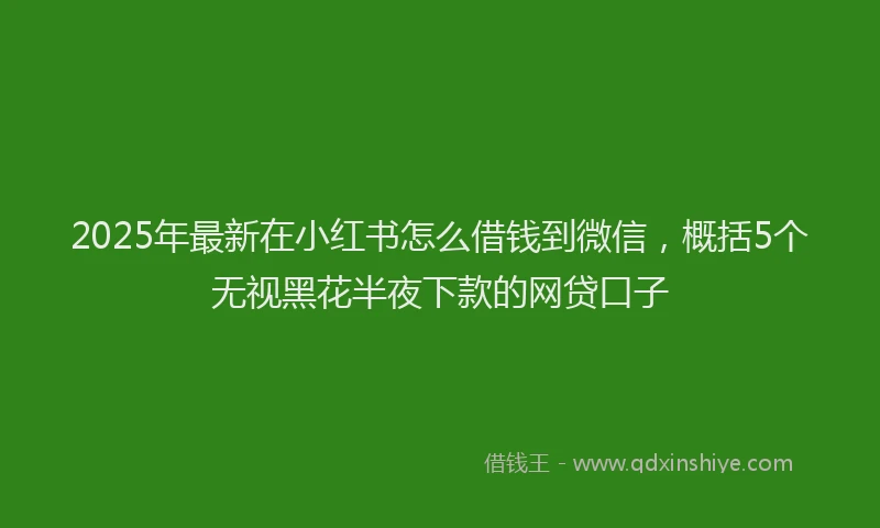 2025年最新在小红书怎么借钱到微信，概括5个无视黑花半夜下款的网贷口子