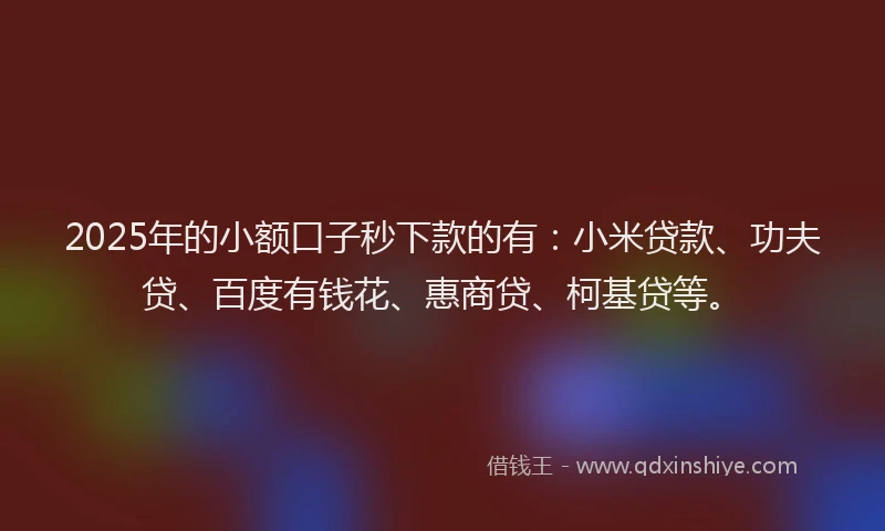 2025年的小额口子秒下款的有：小米贷款、功夫贷、百度有钱花、惠商贷、柯基贷等。