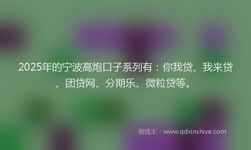 2025年的宁波高炮口子系列有：你我贷、我来贷、团贷网、分期乐、微粒贷等。