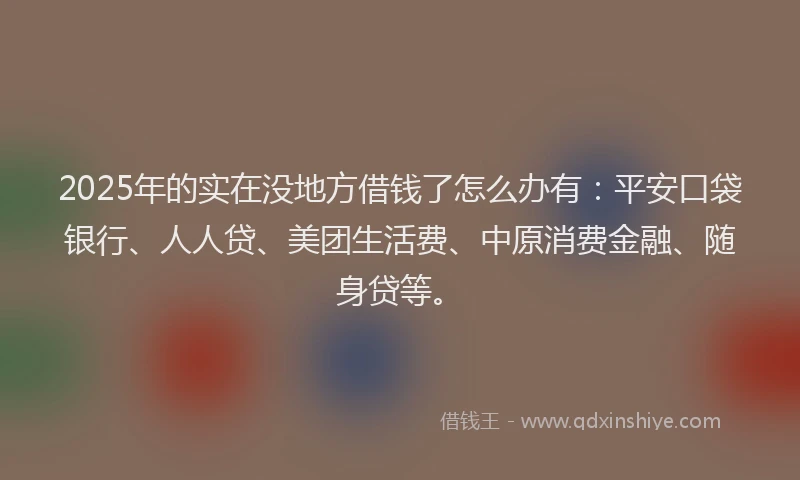 2025年的实在没地方借钱了怎么办有：平安口袋银行、人人贷、美团生活费、中原消费金融、随身贷等。