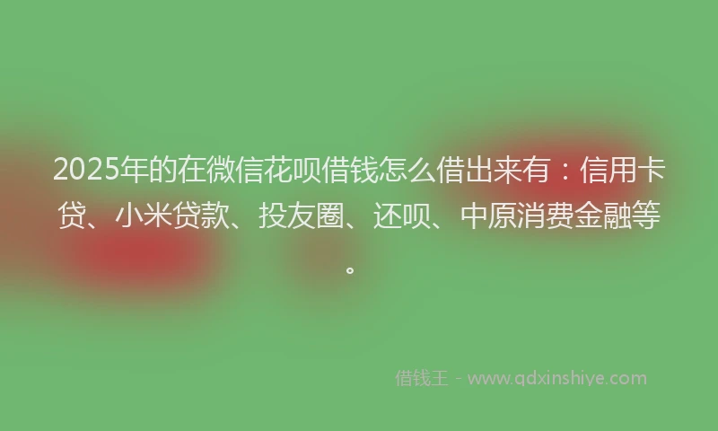 2025年的在微信花呗借钱怎么借出来有：信用卡贷、小米贷款、投友圈、还呗、中原消费金融等。