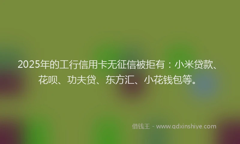2025年的工行信用卡无征信被拒有：小米贷款、花呗、功夫贷、东方汇、小花钱包等。