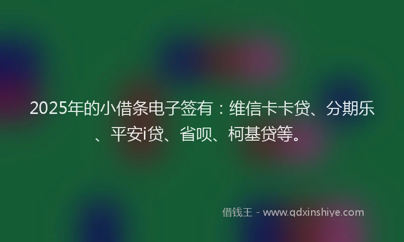 2025年的小借条电子签有：维信卡卡贷、分期乐、平安i贷、省呗、柯基贷等。