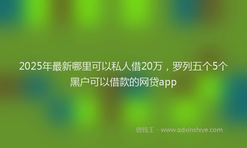 2025年最新哪里可以私人借20万，罗列五个5个黑户可以借款的网贷app