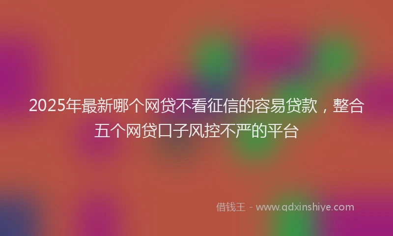 2025年最新哪个网贷不看征信的容易贷款，整合五个网贷口子风控不严的平台