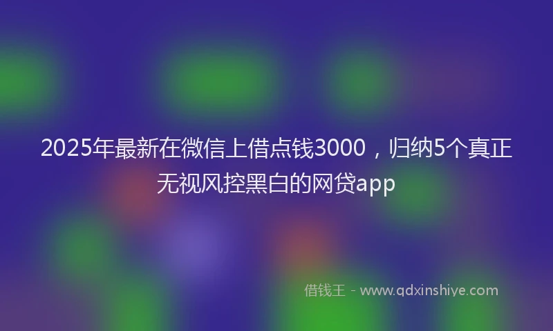 2025年最新在微信上借点钱3000，归纳5个真正无视风控黑白的网贷app