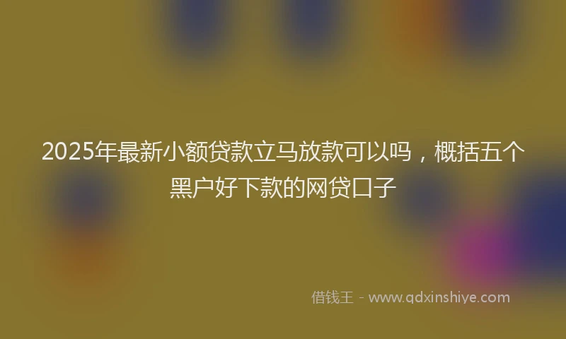 2025年最新小额贷款立马放款可以吗，概括五个黑户好下款的网贷口子