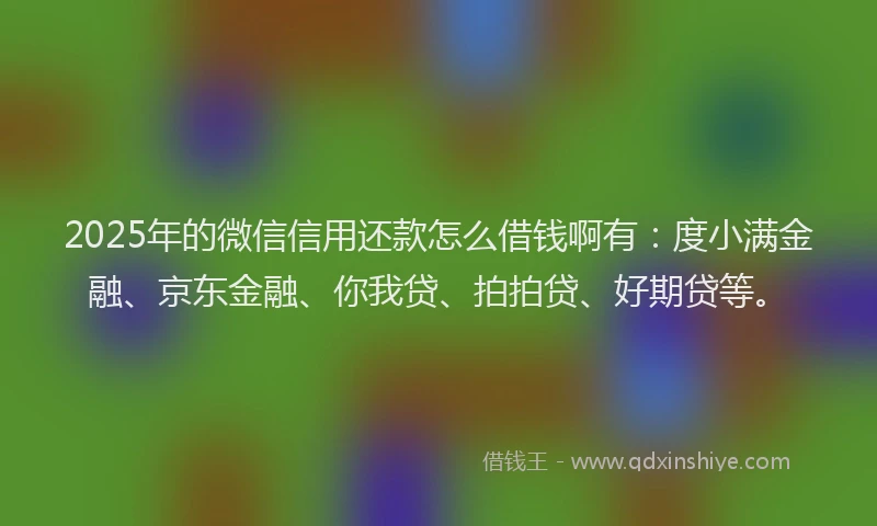 2025年的微信信用还款怎么借钱啊有：度小满金融、京东金融、你我贷、拍拍贷、好期贷等。