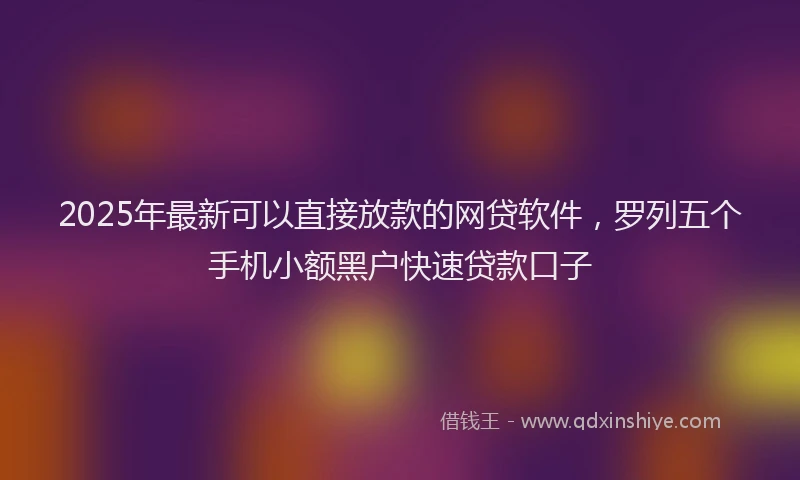 2025年最新可以直接放款的网贷软件，罗列五个手机小额黑户快速贷款口子