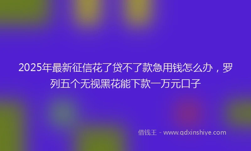 2025年最新征信花了贷不了款急用钱怎么办，罗列五个无视黑花能下款一万元口子