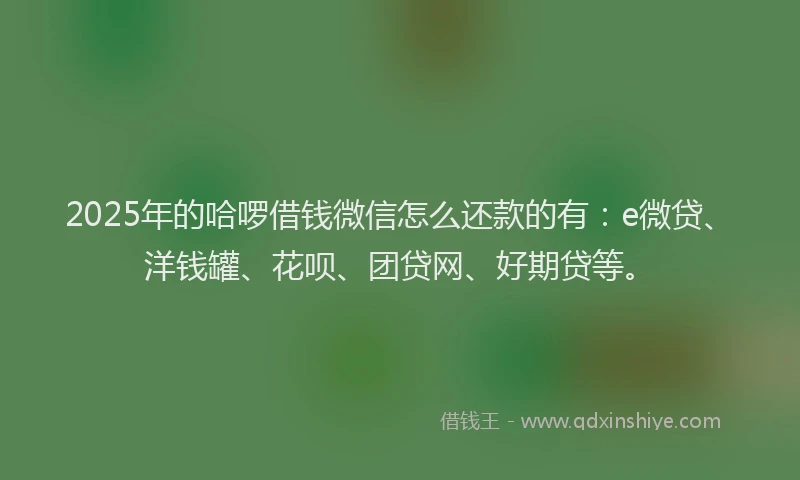 2025年的哈啰借钱微信怎么还款的有：e微贷、洋钱罐、花呗、团贷网、好期贷等。