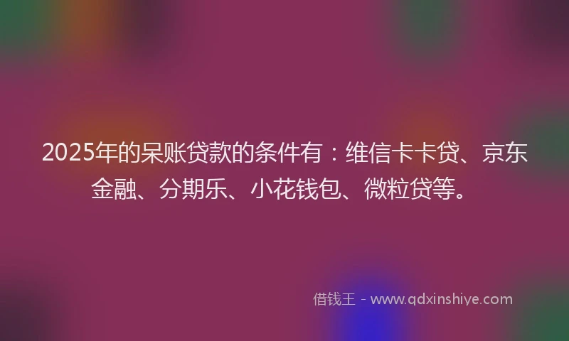 2025年的呆账贷款的条件有：维信卡卡贷、京东金融、分期乐、小花钱包、微粒贷等。