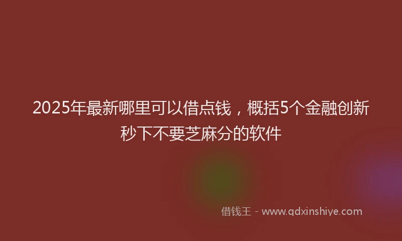 2025年最新哪里可以借点钱，概括5个金融创新秒下不要芝麻分的软件