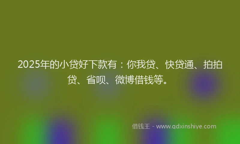 2025年的小贷好下款有：你我贷、快贷通、拍拍贷、省呗、微博借钱等。
