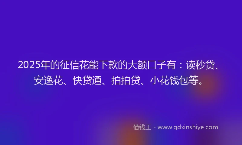 2025年的征信花能下款的大额口子有：读秒贷、安逸花、快贷通、拍拍贷、小花钱包等。