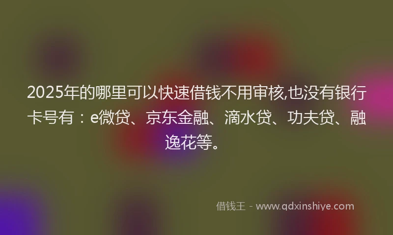 2025年的哪里可以快速借钱不用审核,也没有银行卡号有：e微贷、京东金融、滴水贷、功夫贷、融逸花等。