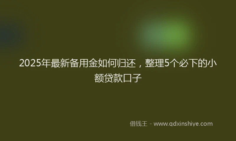 2025年最新备用金如何归还，整理5个必下的小额贷款口子