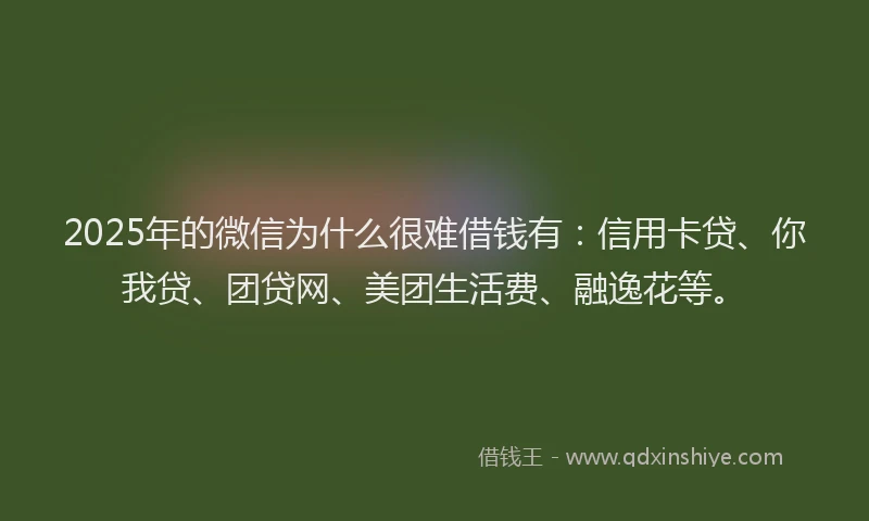 2025年的微信为什么很难借钱有：信用卡贷、你我贷、团贷网、美团生活费、融逸花等。