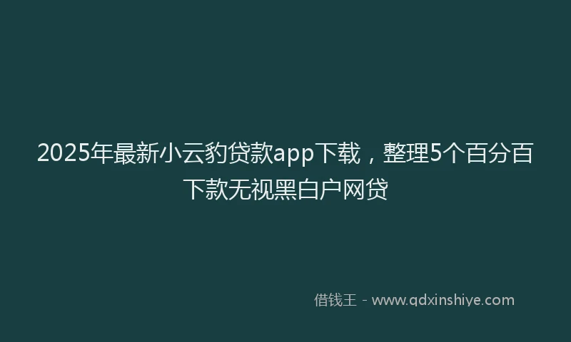 2025年最新小云豹贷款app下载，整理5个百分百下款无视黑白户网贷