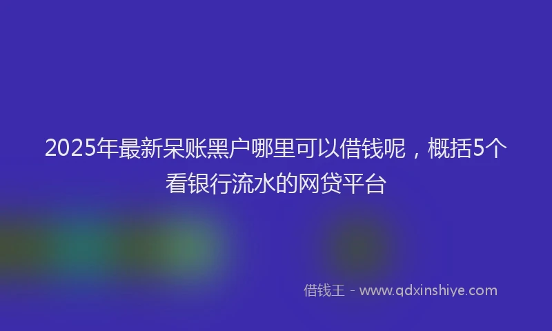 2025年最新呆账黑户哪里可以借钱呢，概括5个看银行流水的网贷平台