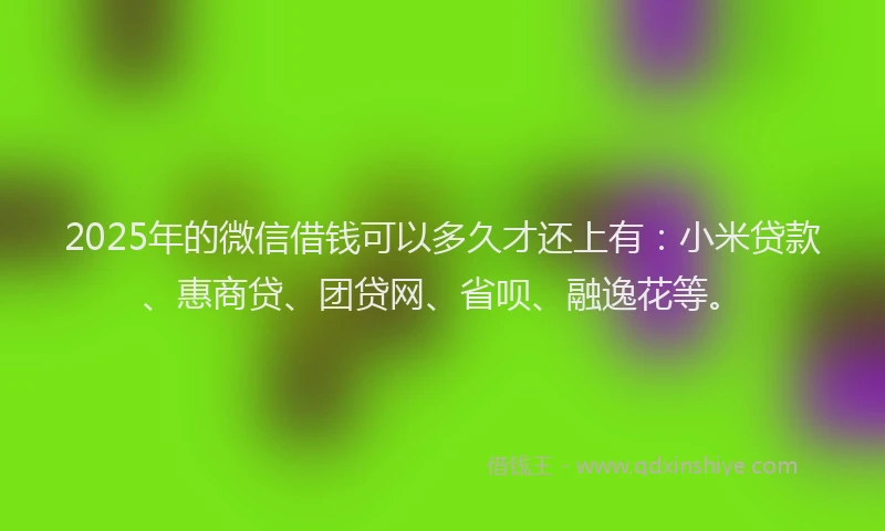 2025年的微信借钱可以多久才还上有：小米贷款、惠商贷、团贷网、省呗、融逸花等。